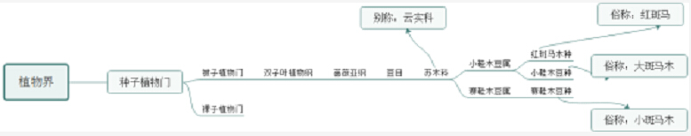 新品系列實木家具勢不可擋！