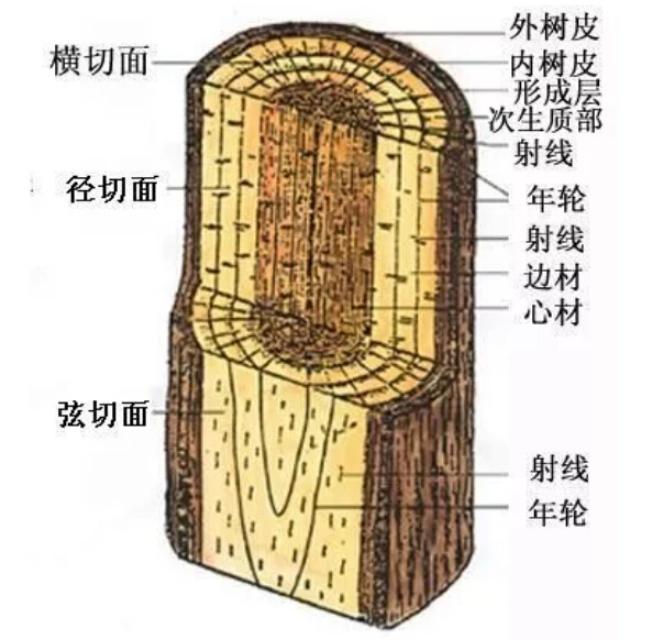 實木家具有色差正常嗎！實木家具色差有原因！