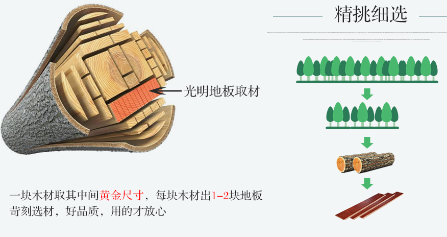 你了解實木地板嗎？不了解實木地板怎么敢去買！